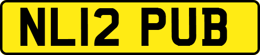 NL12PUB