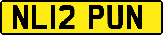 NL12PUN