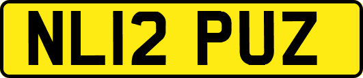 NL12PUZ