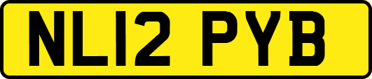 NL12PYB