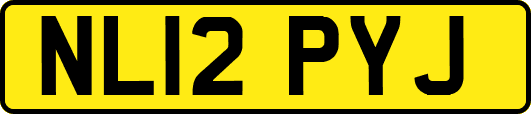 NL12PYJ
