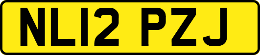 NL12PZJ