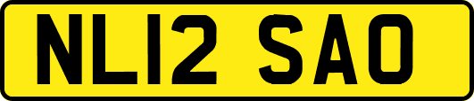 NL12SAO