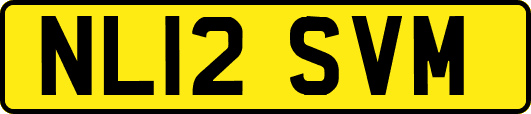 NL12SVM