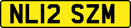 NL12SZM