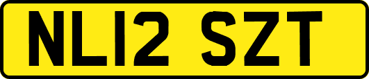 NL12SZT