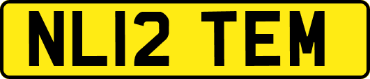NL12TEM