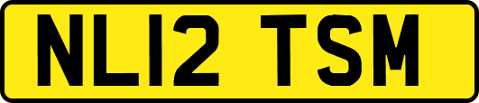NL12TSM