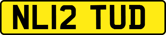 NL12TUD