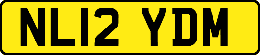 NL12YDM