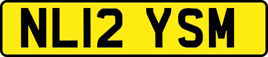 NL12YSM