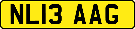 NL13AAG