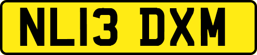 NL13DXM