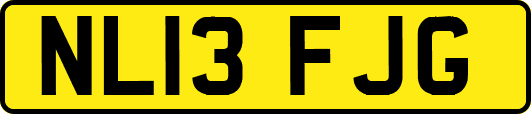NL13FJG