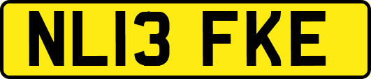 NL13FKE