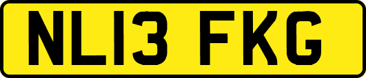 NL13FKG