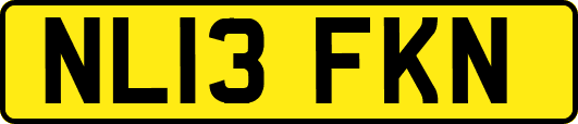 NL13FKN