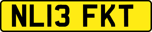 NL13FKT
