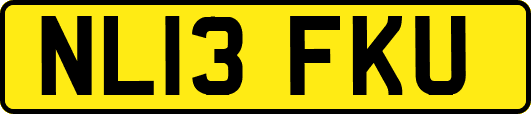 NL13FKU