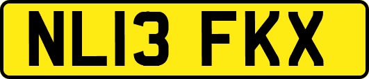 NL13FKX