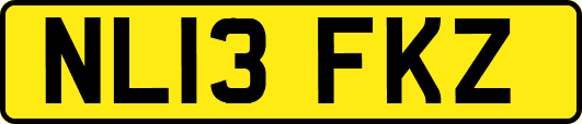 NL13FKZ