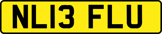 NL13FLU