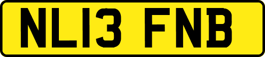 NL13FNB