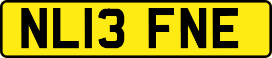 NL13FNE