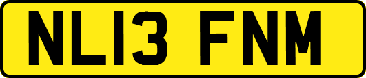 NL13FNM