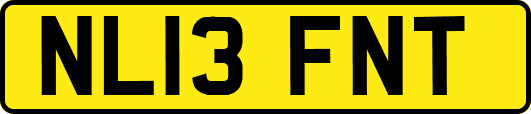 NL13FNT