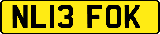 NL13FOK
