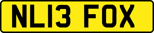 NL13FOX
