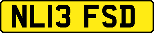 NL13FSD
