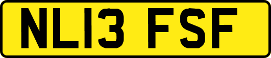 NL13FSF