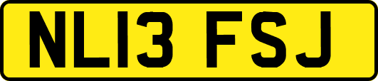 NL13FSJ