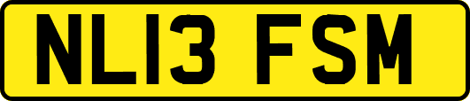 NL13FSM