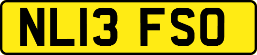 NL13FSO