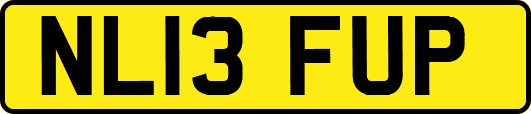 NL13FUP