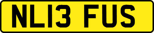 NL13FUS