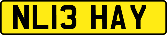 NL13HAY