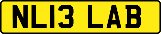 NL13LAB