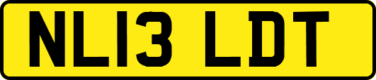 NL13LDT