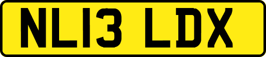 NL13LDX