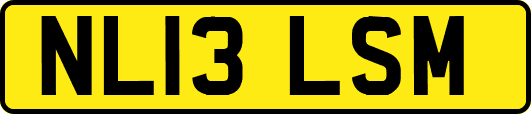 NL13LSM