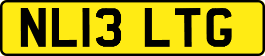 NL13LTG