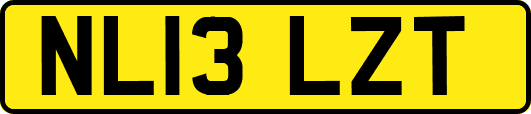 NL13LZT