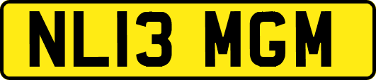 NL13MGM