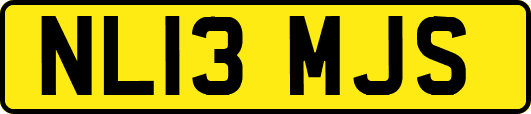 NL13MJS