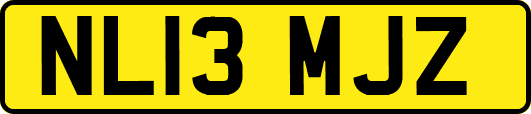 NL13MJZ