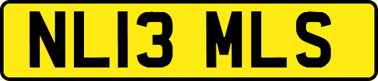 NL13MLS